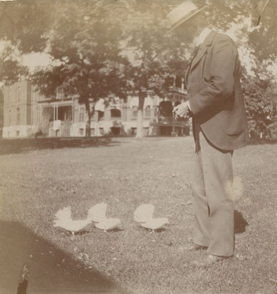 Man feeding fantail doves on a lawn at Oakwood Sanitarium. The sanitarium is in the background behind trees.
