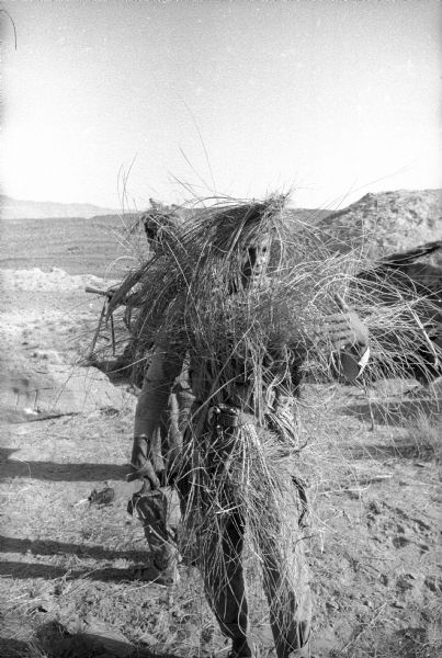 Member of the Algerian National Liberation Front (FLN) standing in an arid landscape and camouflaged with dried grasses.