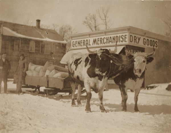 Team of oxen pulling a sled loaded with large sacks on a snowy street in front of a General Merchandise Dry Goods store. Two men stand at the back of the sled.