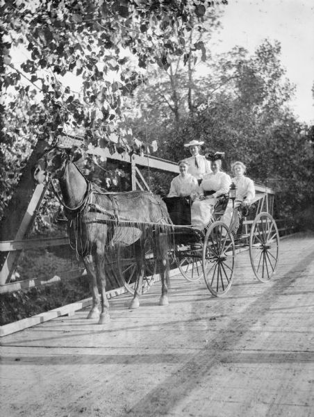 Four women of Dr. Joseph Smith's family ride a horse-drawn carriage over a bridge. Mary E. Smith sits in the front on the left. The horse is wearing a fly-net.