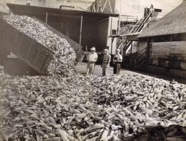 An official and workmen at Hillsboro Canning Plant examining a a large truckload of corn as it's dumped into a huge unloading platform. The individuals pictured include, (from left to right): John A. Cesnik, manger of the plant; James Barrix, mechanical superintendent; and James Sebranek, unloading platform foreman. In the background on the right a group of men stand near the top of a steep stairway on the side of a hill.