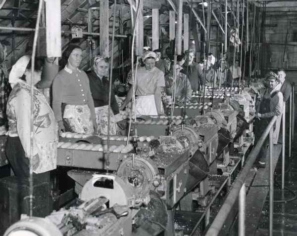 Interior view of the Hillsboro Canning Plant. A row of female and male workers are standing amongst the plant's corn processing machinery. The women have their hair pulled back with scarfs and are wearing aprons. Individual ears of unprocessed corn are visible on machinery belts.