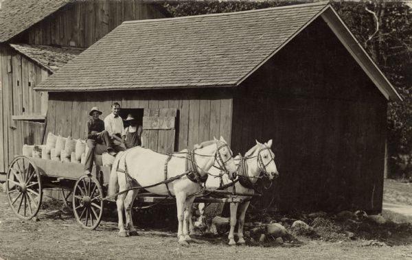 William Unglaube is in the wagon, which has bags of barley in it, with William Fiebelkorn on William Fiebelkorn's farm. There is an unidentified figure in the doorway of the building. The shed door says: "1908." The wagon is hitched to two white horses.<p>The postcard is addressed to Mrs. George (Louise Unglaube) Koegel.