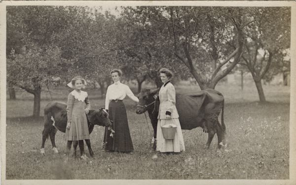 Two young women and a girl stand in a pasture with a cow and a calf. One of the women is holding a pail; the other a sprig of flowers.