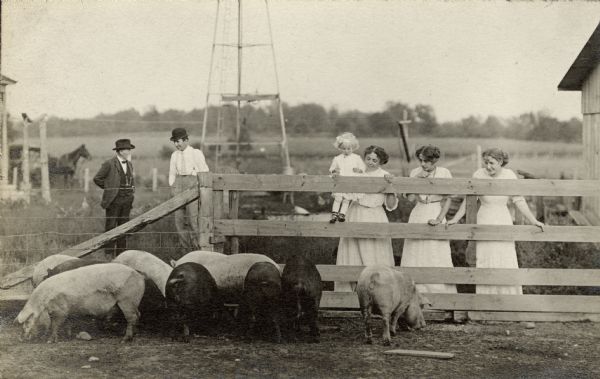 Three young women, one of them holding child on the fence, line up along the opposite side of a fence to look at a herd of pigs. They are all smiling. On the left, two men are standing and talking. The women are wearing light-colored summer dresses; the men are wearing ties and hats. Behind them is the bottom of the structure to hold a windmill, and a horse hitched to a carriage.