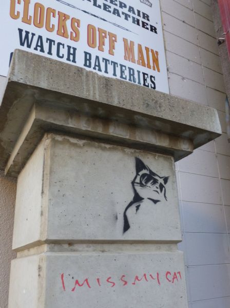 Graffiti on a stone plinth reads “I miss my cat” below a stenciled image of a cat wearing sunglasses on 5th Street. Above, another partial sign reads "Repair, Leather, Clocks Off Main, Watch Batteries."