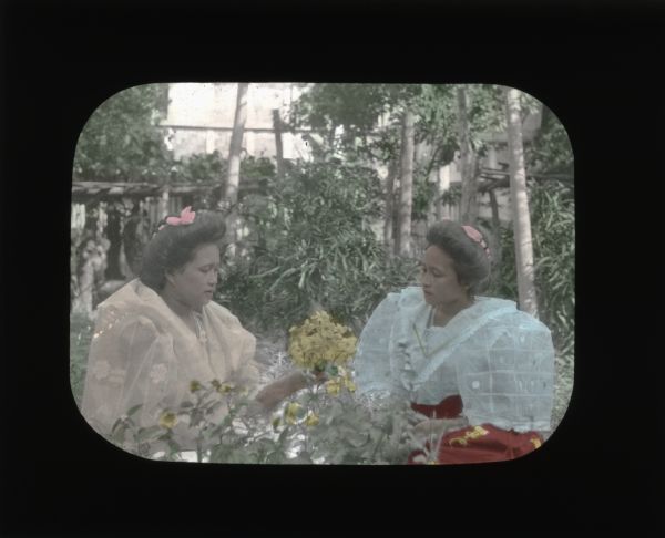Two women surrounded by flowers in the Philippines. They are wearing "voluminous blouses of a sheer material," as Carrie Chapman Catt describes in her journal, which were commonly worn by women at the time. They have bows in their hair.