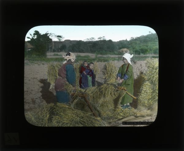 Two women stand while separating rice from the stalks. Two children stand between them to watch. The description on the lower right hand side says: "separating rice from the stalks."