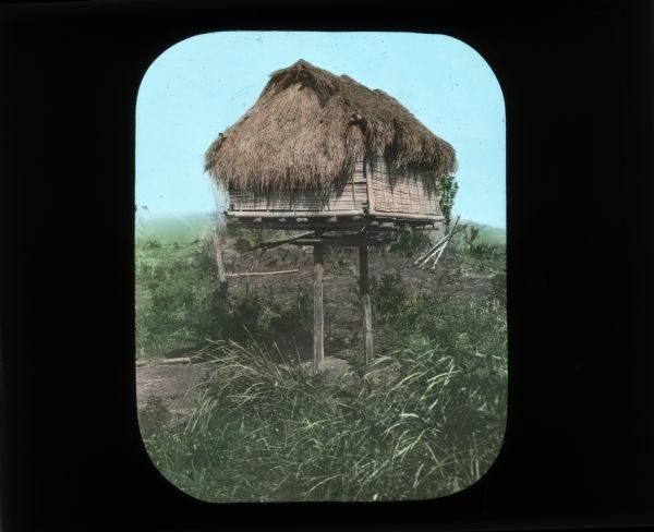 A thatched home raised up on poles. In her journal from her trip to Java, Carrie Chapman Catt describes how many homes were built in this manner in case of flooding.