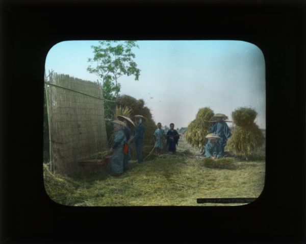 Workers in a field stripping barley grains from the stalks. The workers are all wearing blue clothing, and some are wearing wide-brimmed hats. The bundles of barley are carried on a yoke over the shoulders. The description in the lower right hand corner says "stripping off grains of barley".