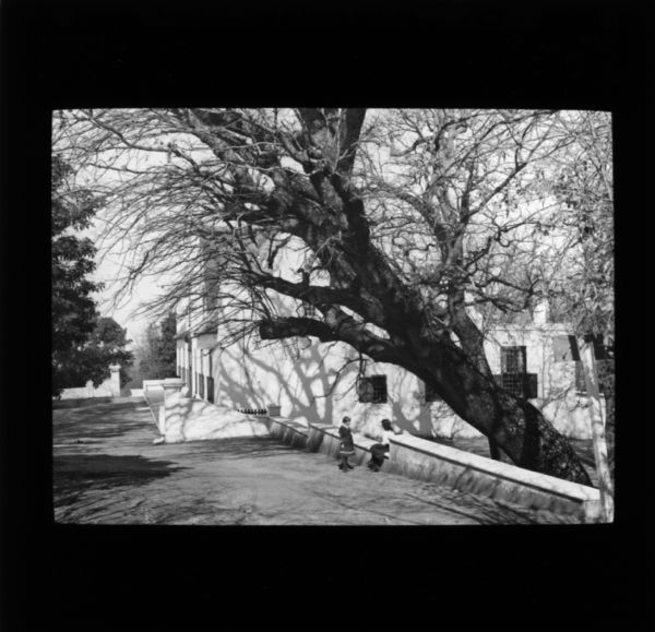 Exterior view of Groot Constantia, the oldest wine estate in South Africa, located just outside Cape Town, South Africa. Two women stand near the wall under a tree.