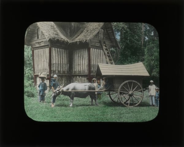 In her journal from China, Carrie writes that most villages have "one wagon, which is used for carrying the people, supplies, and our luggage." She talks about how the inside of the wagon was so short that she and a travel companion sat facing the back with their legs hanging out. The wagon here is pulled by a bullock.