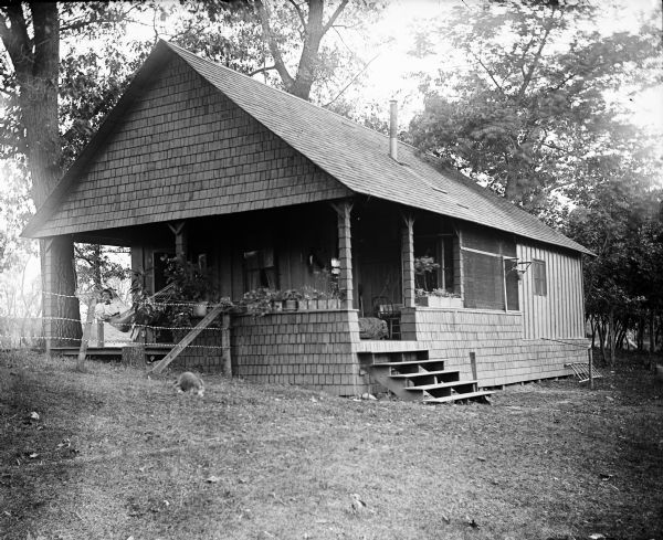 Three-quarter view of the Thwaites cottage on Lakeside. On the left a young woman is sitting in a hammock on the porch behind a fence. In the yard in the foreground, there appears to be a dog lying in the grass. The roof of another building is in the far background.