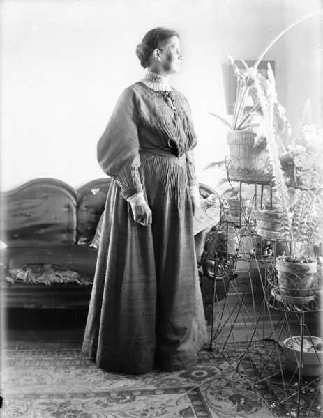 Full-length indoor portrait of an unknown woman. She is wearing a long dress with puffy sleeves, and underneath a white blouse with lace collar and cuffs. She is standing on a carpet in front of an old couch, looking to the right towards the light from a window. On the right, house plants are arranged on a large, wire plant stand.