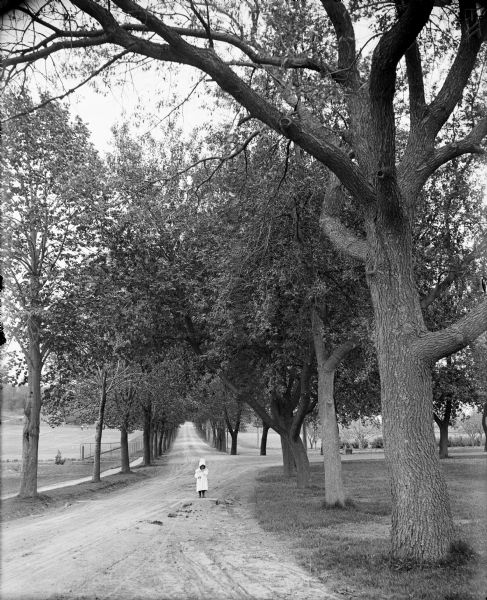 A young girl, Kathleen Carlyle, standing on Linden Drive located on the University of Wisconsin campus. She is wearing a dress and a bonnet, and is standing in the middle of the road which is lined by trees. In the left background men stand in a field surrounded by a fence.