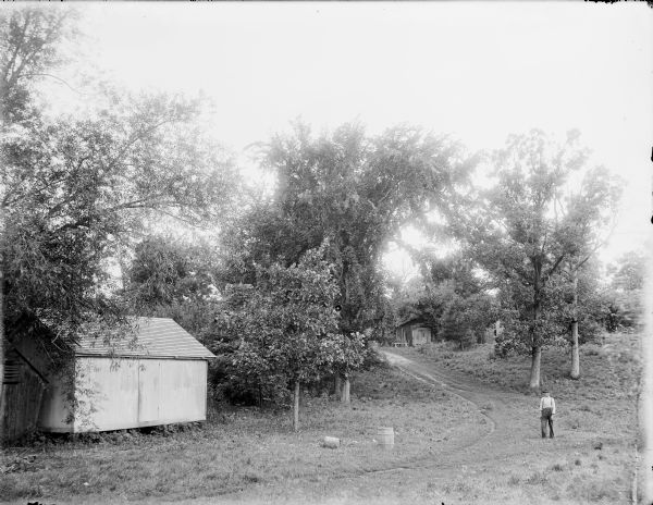 View up dirt road towards a young man standing near the Turvill shop. The tree-lined road leads up a slope towards another building under trees.