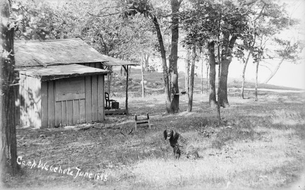 View of Camp Waucheta, with a cabin on the left and a dog sitting in the grass in the foreground. There is a lake in the background on the right, with trees in the yard and along the shoreline.