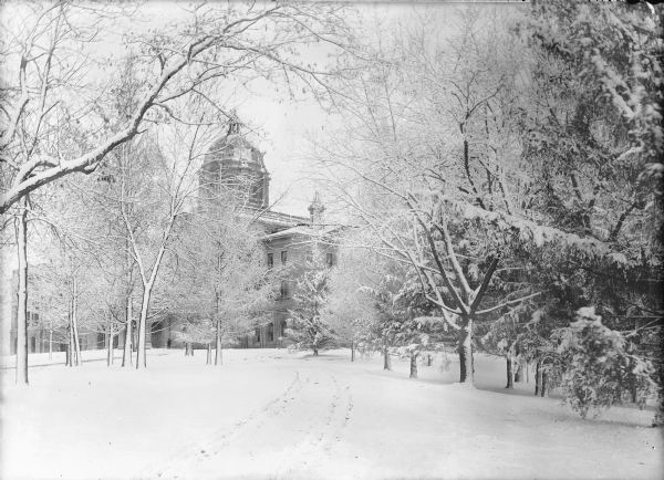 Winter scene looking towards Main Hall (Bascom Hall), obscured by trees, on the University of Wisconsin-Madison campus. Original caption reads: "Snow study of Main hall from drive." In the foreground are tracks through the snow.