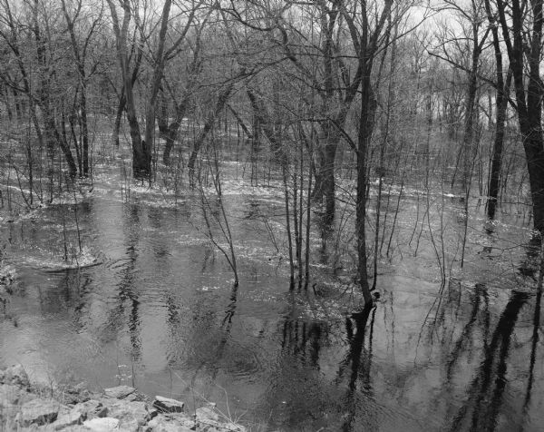 Wisconsin River overflowing into wooded areas near Highway 14 bridge.