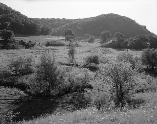 Farmland, trees and shrubs against a background of wooded hills.