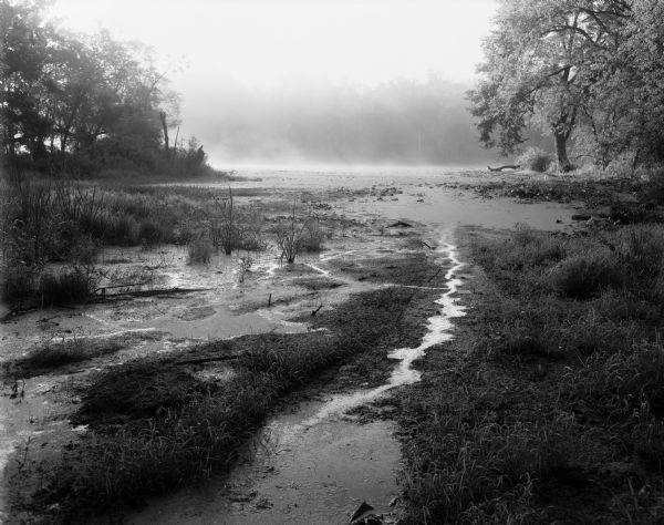A Wisconsin River swamp. The swampy area is framed by trees with more trees in the background hidden by fog.