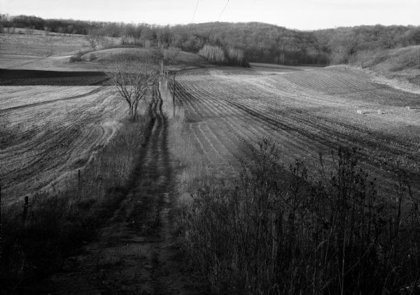 A farm road between fields in late sunlight, looking towards Mounds Creek in the vicinity of CTH F.