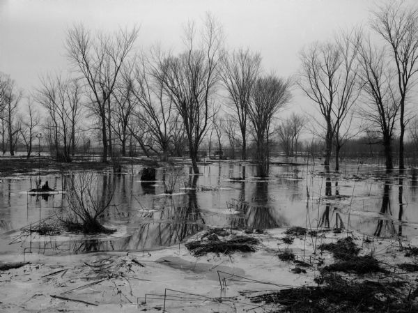 From back of Pairing, "Flooded land partly covered by ice at Knapp's Creek (at junction with the Wisconsin River near Boscobel), Wis. View looking toward the river and Hwy 60."