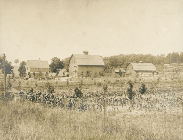 Young trees and corn grow in a fenced field in front of a two-story wood frame house, two barns and another building. In the background there are open and wooded areas of rolling terrain. The forty-acre Baker farm was adjacent to Black Point Estate and was purchased by the owners of the estate in 1902.
