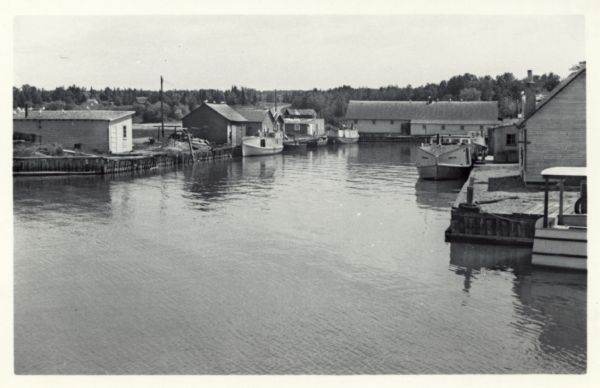 Slightly elevated view over water towards East slip in Cornucopia Harbor. There is a small cluster of buildings along the left and right sides with boats moored along the edges. A long, barn-like buildings is in the center background. Trees are in the far background.