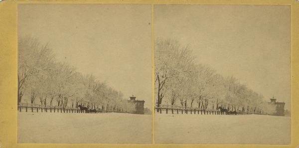 Stereograph view across snowy street towards Capitol Park in the winter. The trees in the park have snow on their limbs. In the center is a horse-drawn carriage near the fence surrounding the park. In the far background down the hill is Madison City Hall. The view is of Bruen's Block from Mifflin and Pinckney Streets.