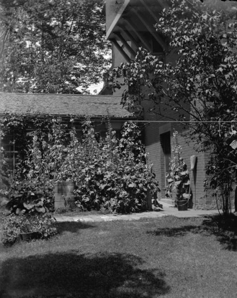 The Lucius Fairchild home at 302 Monona Avenue (later Martin Luther King Blvd.) seen from the back garden. Lush foliage surrounds the back door, where a broom and pail stand against the wall.