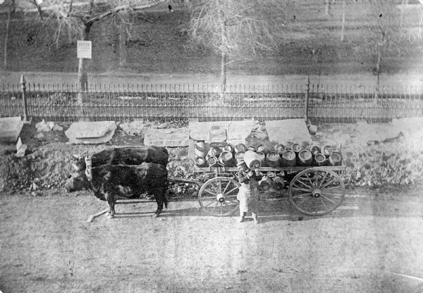 Elevated view of a beer wagon pulled by two oxen standing on Sherman Avenue. A delivery man with a keg of beer on his shoulder is standing in the street near the wagon. The initials J.R. are on the wagon, which may belong to Madison Brewery, a beer company owned by John Rodermund. In the background is an iron fence, and behind it is a path, and trees on a lawn.