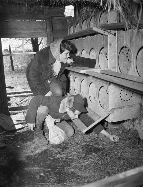 A boy and a girl are in a chicken coop gathering eggs. The children are dressed warmly in coats, scarves and hats.