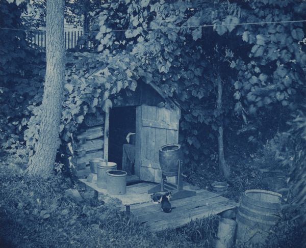 Elevated view of butter churns, crocks and two cats on the landing next to an old-fashioned spring house constructed of logs. The roof is covered with ivy vines, and there are trees on the left and right.