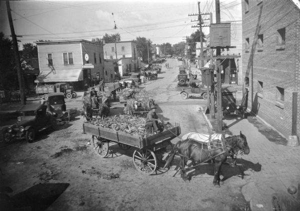 Wagons delivering sweet corn to the Canning Company on the west bank of the Chippewa River.