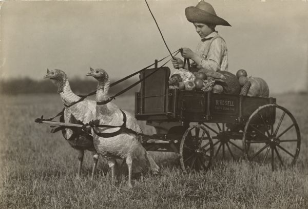 A boy is driving two turkeys yoked together that are pulling his small wagon loaded with vegetables. Painted on the side of the wagon: "Birdsell, South Bend, Ind."