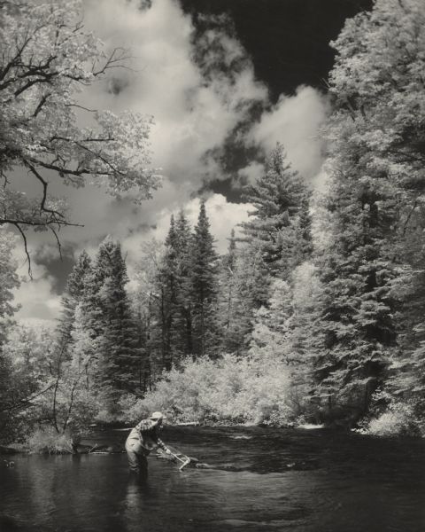A man wading and fishing in the Brule River. He is wearing waders, a plaid shirt, hat and creel, and has netted a fish. In the background is a forest and partly cloudy sky.