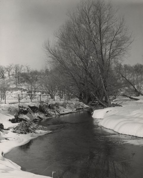 Black Earth Creek in the winter, with the banks covered with snow. Large trees are leaning over the creek on the right bank. In the background are a fence, hills and trees.