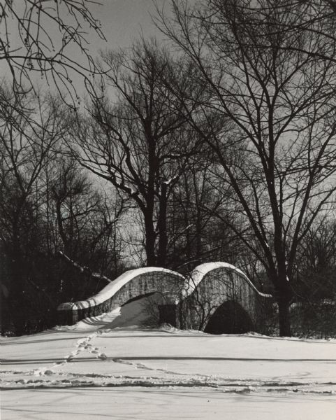 View across snow towards the A.G. Zimmerman Bridge in Tenney Park during the winter. Large trees are around the bridge. Note from the property record: "reinforced concrete bridge with a rock-faced random ashlar limestone veneer. A course of smooth-faced limestone outlines the arch. An excellent local example of a Rustic bridge, with excellent integrity." The bridge was named in honor of Judge Arthur Zimmerman who helped finance its construction.
