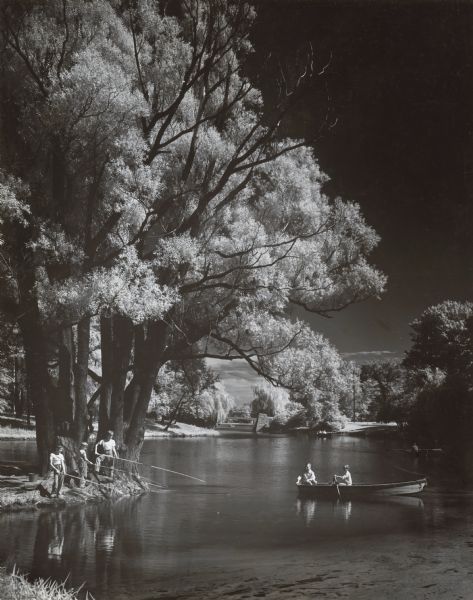 View of people fishing and boating in Washington Park Lagoon. Three boys are fishing with long bamboo poles from the bank on the left, and two boys are in a rowboat nearby. Along the shoreline on the right are several people in two boats. In the distance is a bridge, and another boat beyond. Trees surround the lagoon.
