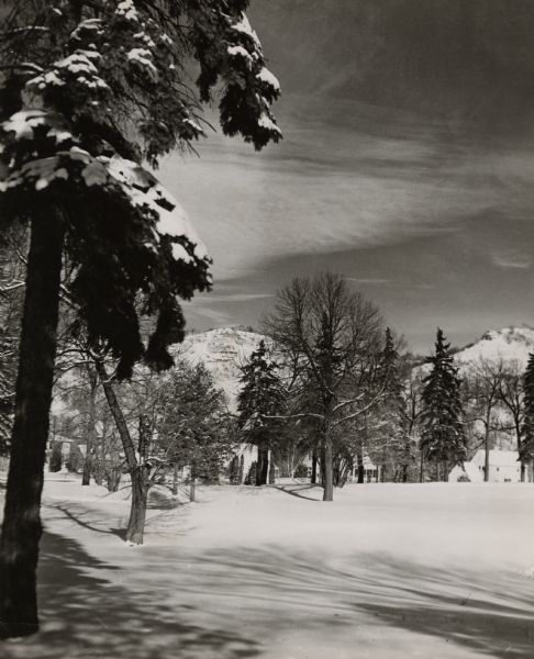 Trees and snow, with buildings behind trees in the background. In the far background are hills or bluffs with rocky outcroppings.