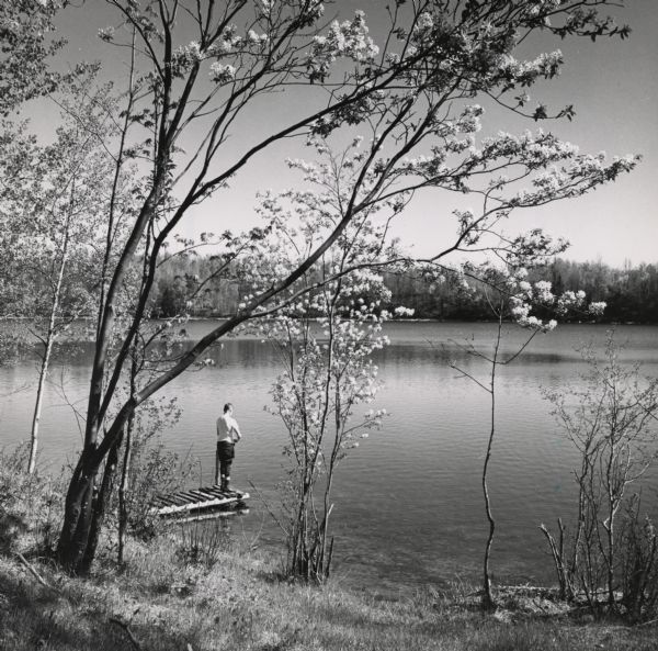 View from shoreline towards a boy standing on a pier overlooking a lake. In the foreground are flowering trees.