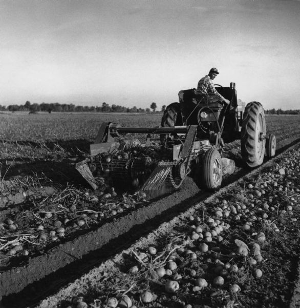 A man is harvesting potatoes using a John Deere tractor and a John Deere single row potato harvester.