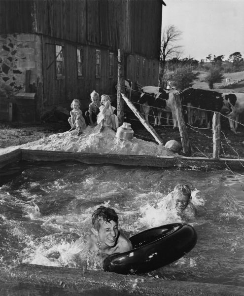 Swimming country style on a farm in the Kettle Moraine State Forest. Two boys are swimming in a large wooden cattle tank and three young children are perched on a sand pile, watching. In the background are a barn, dairy cows and a pasture.
