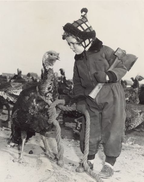 A small girl and a turkey posing in front of a rafter (flock) of turkeys. She is wearing a snowsuit, mittens, and a plaid hat with a pompom. She is holding an ax under her arm, and is holding a thick rope that is around the neck of the turkey.