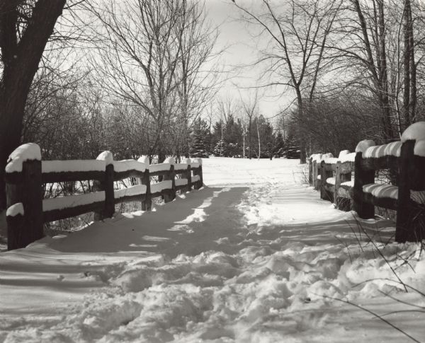 Snow scene of a lane line on each side with timber fences, possibly a bridge. Trees are overhead and in the distance.