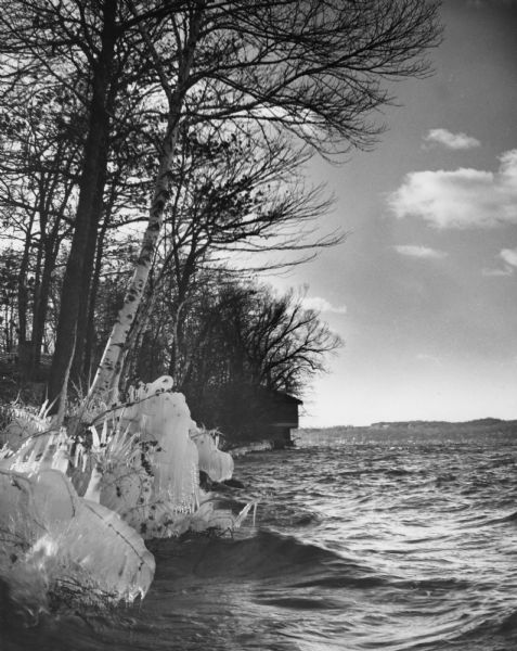 View of the shoreline of Geneva Lake in winter. Ice has built up on the foliage on the shore.