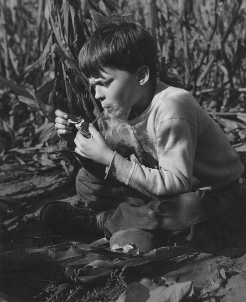A boy smoking a corncob pipe, sitting in a cornfield. He is wearing bluejeans and a sweatshirt.