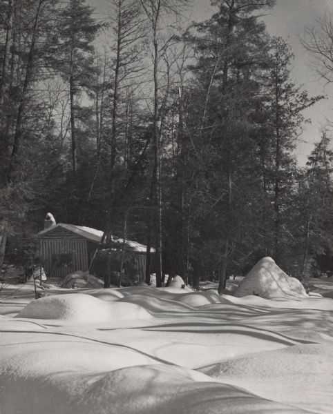 View of a snow-covered cabin in the north woods.