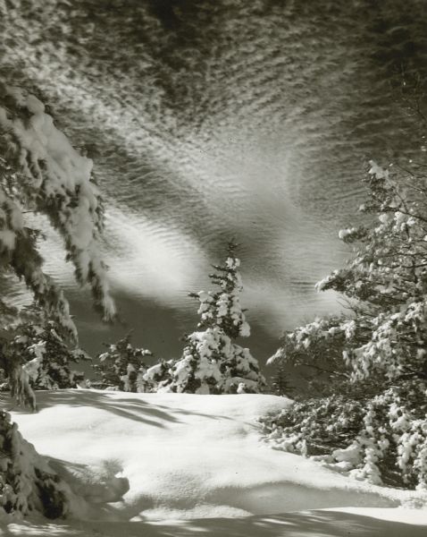 Snow-covered pine trees against a dramatic sky with clouds.